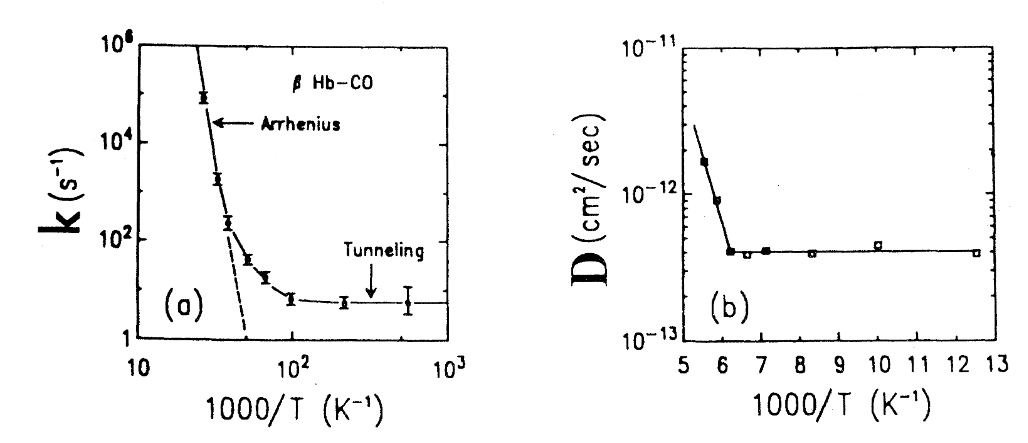 image-20250209164612538